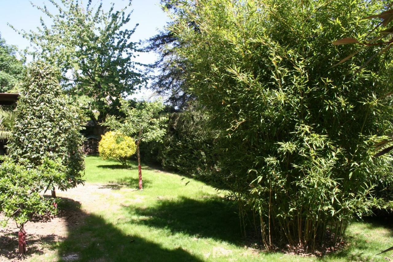 Ferienwohnung La Casa Di Rachele Sarteano Exterior foto